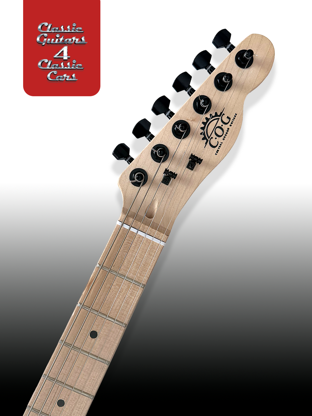 'Palladium Blackout' Electric Guitar